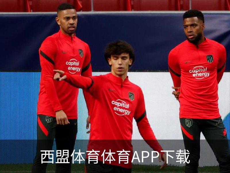 西盟体育体育APP下载简介